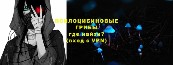 твердый Абаза