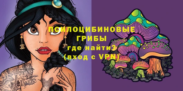 твердый Абаза
