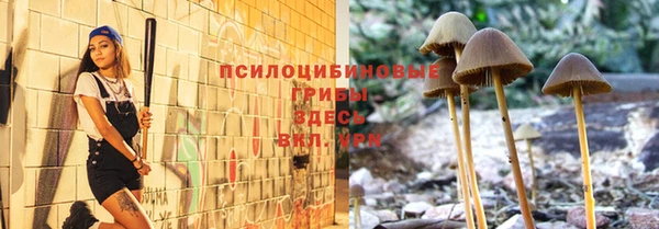 твердый Абаза