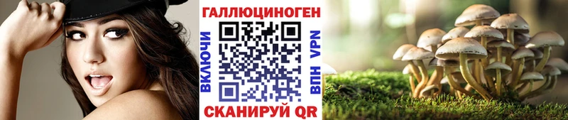 Галлюциногенные грибы мицелий  Питкяранта 
