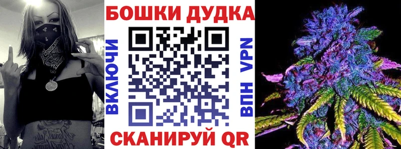 как найти закладки  Питкяранта  Шишки марихуана сатива 